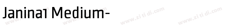 Janina1 Medium字体转换